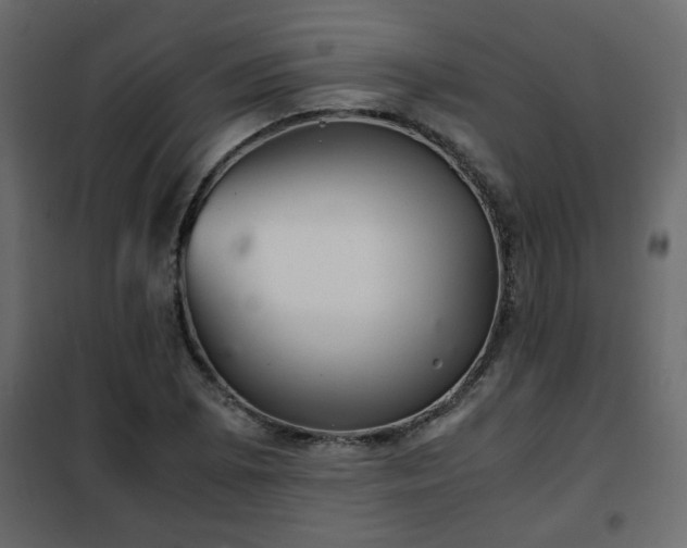 X0000102341073200808081125