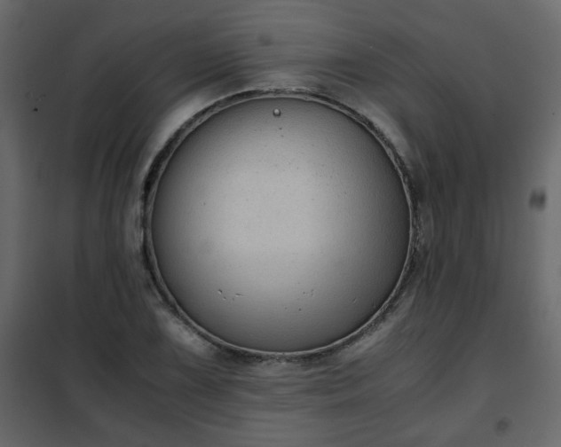 X0000102341075200808081125