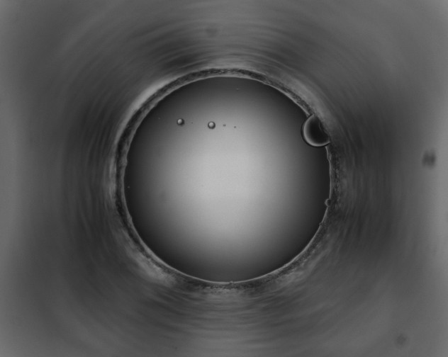 X0000102341076200808081125