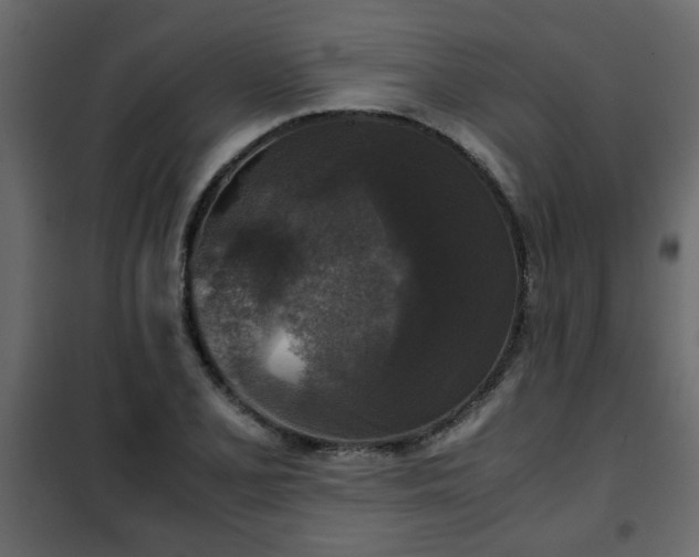 X0000102341077200808081125