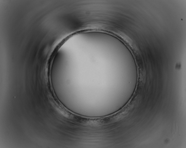 X0000102341078200808081125