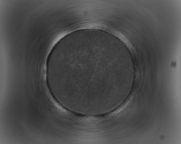 X0000102341079200808081125