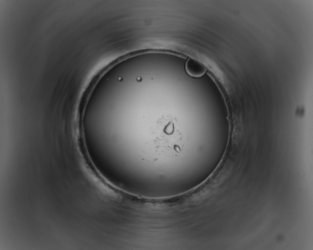 X0000102341080200808081125