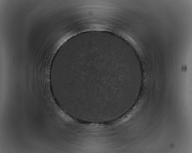 X0000102341081200808081125