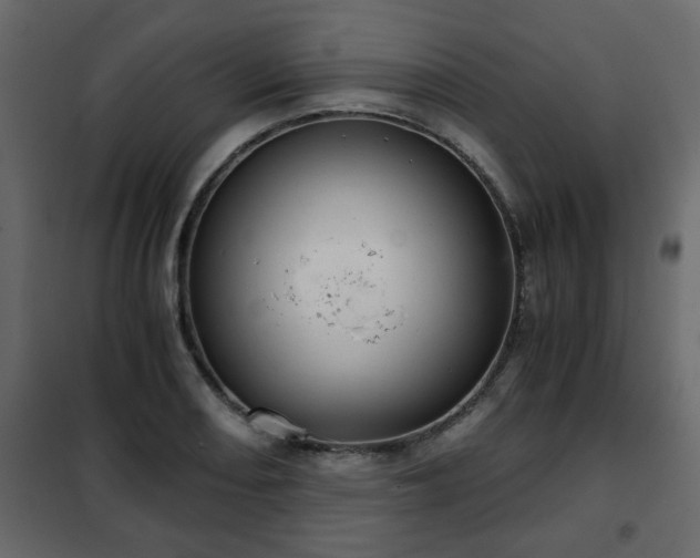 X0000102341082200808081125