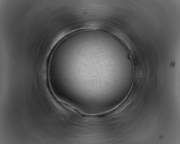 X0000102341083200808081125