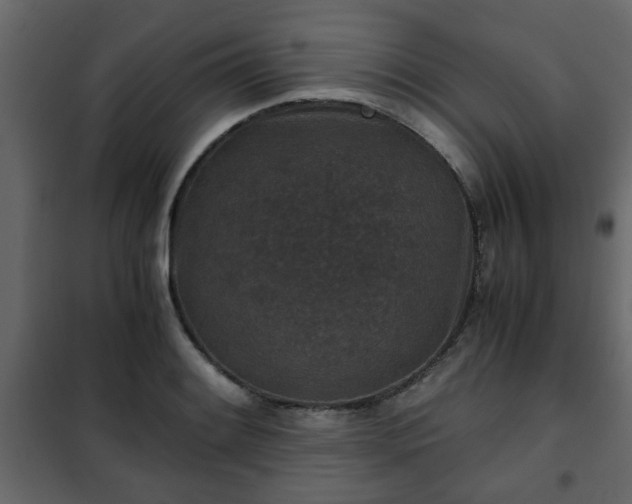 X0000102341084200808081125