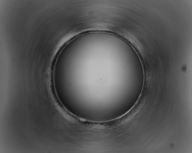 X0000102341085200808081125