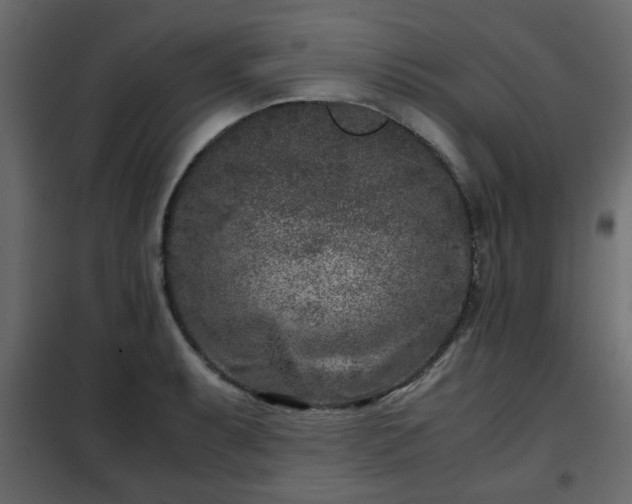 X0000102341087200808081125