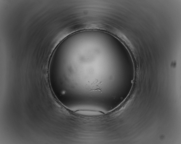 X0000102341089200808081125