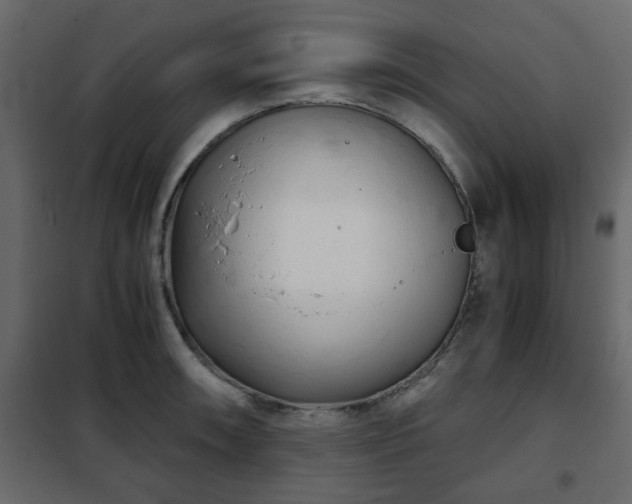 X0000102341090200808081125