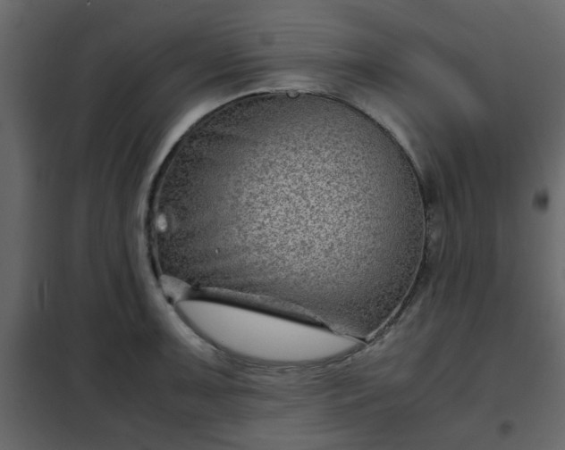 X0000102341091200808081125