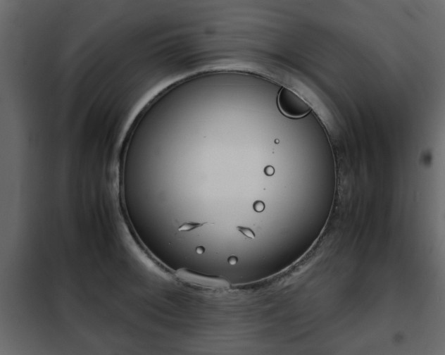 X0000102341092200808081125