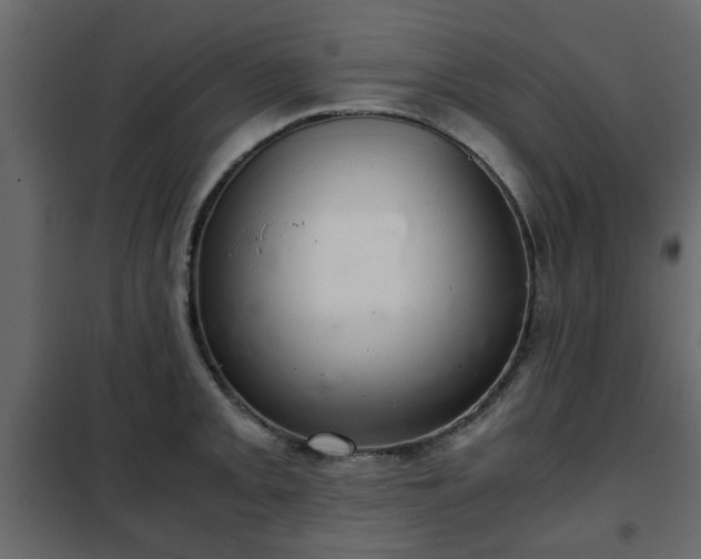 X0000102341093200808081125