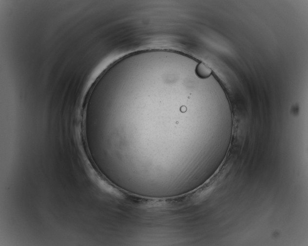 X0000102341094200808081125