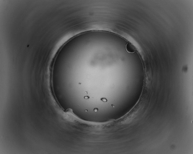 X0000102341096200808081125