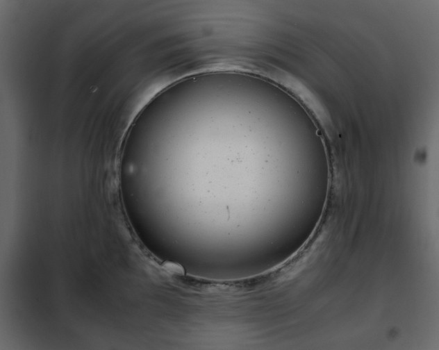 X0000102341097200808081125