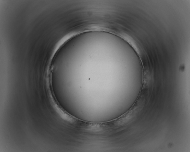 X0000102341098200808081125