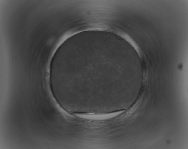 X0000102341099200808081125