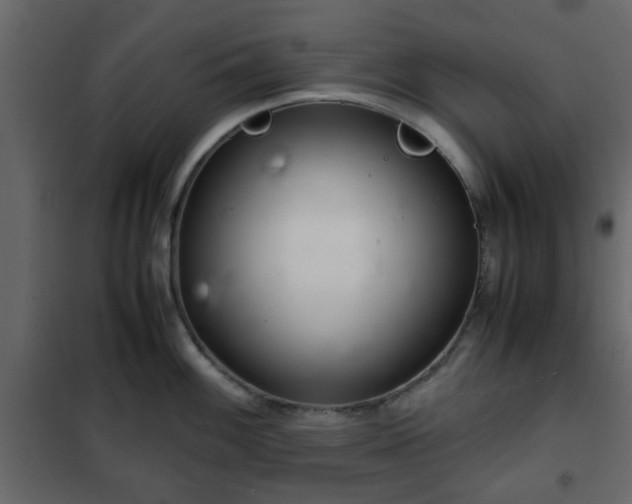 X0000102341100200808081125