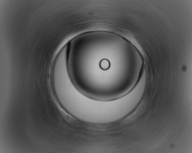 X0000102341101200808081125