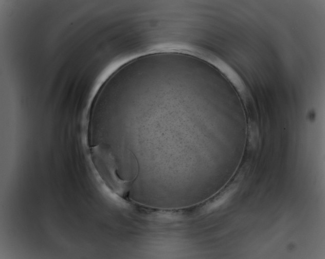 X0000102341102200808081125