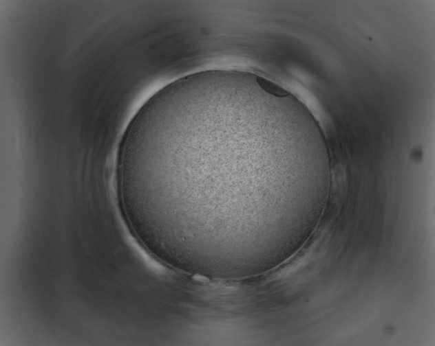 X0000102341103200808081125