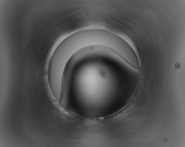 X0000102341104200808081125