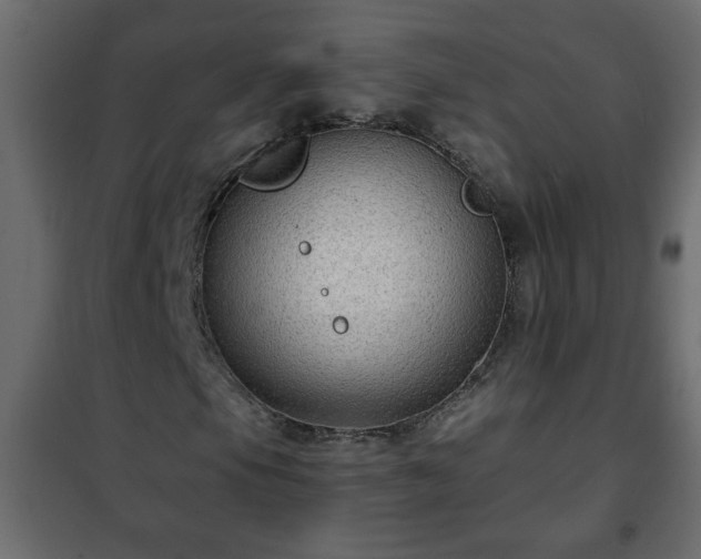 X0000102341105200808081124