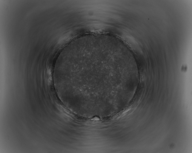 X0000102341106200808081124