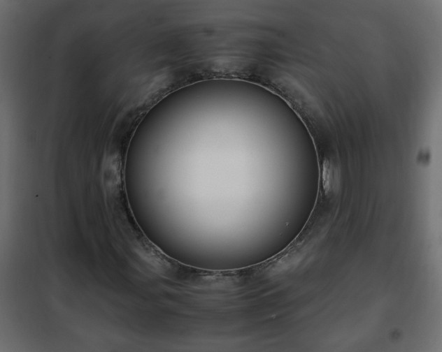 X0000102341107200808081124