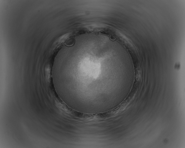 X0000102341108200808081124