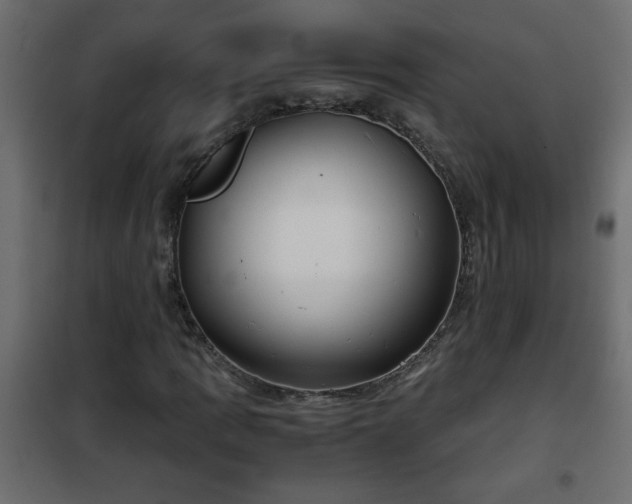 X0000102341109200808081124