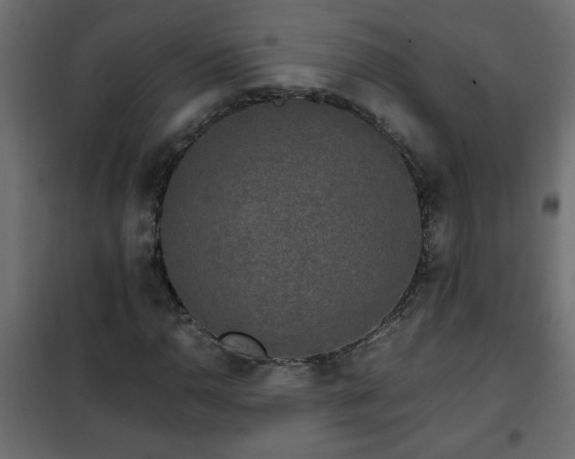 X0000102341110200808081124