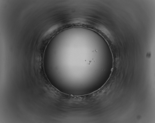 X0000102341111200808081124