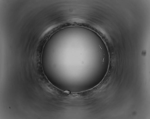 X0000102341112200808081124