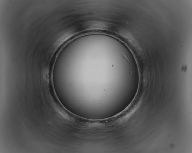 X0000102341113200808081124