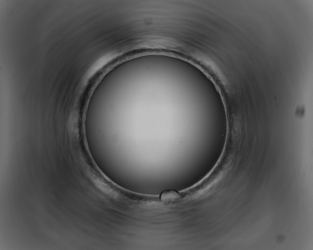 X0000102341114200808081124