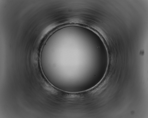 X0000102341115200808081124