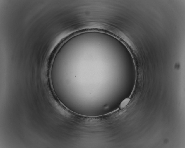 X0000102341116200808081124