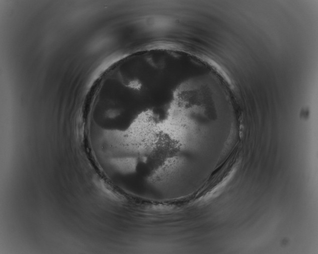 X0000102341117200808081124