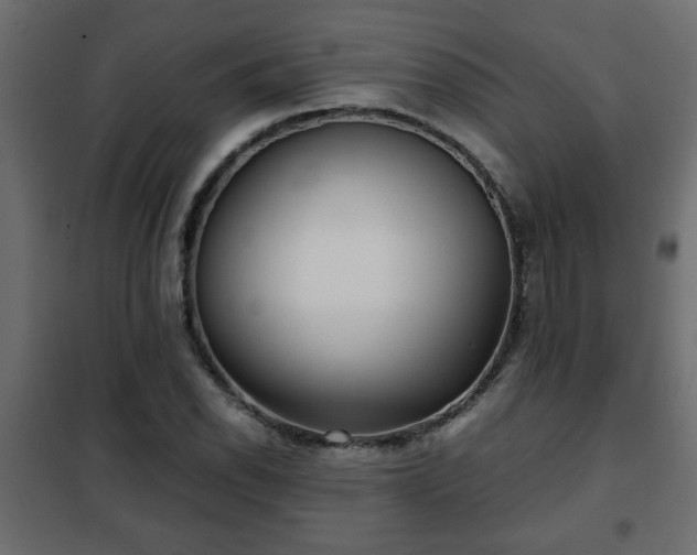 X0000102341118200808081124