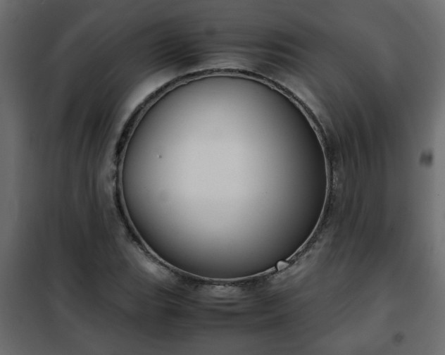 X0000102341119200808081124