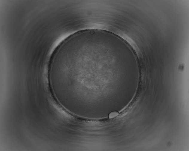 X0000102341120200808081124