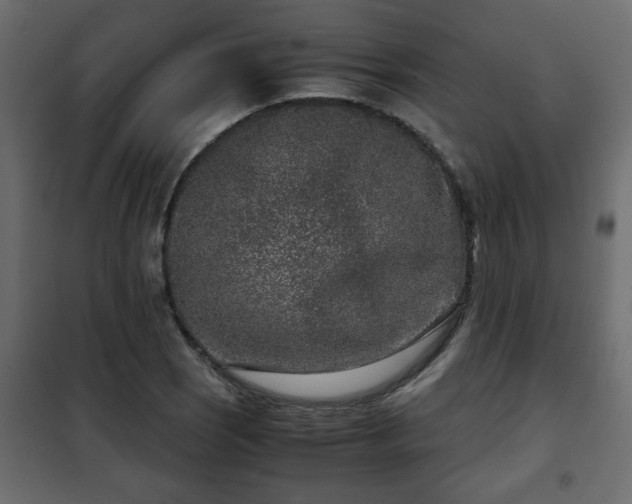 X0000102341121200808081124