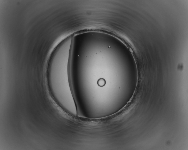 X0000102341122200808081124