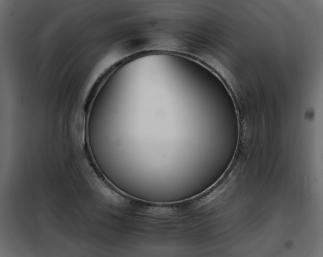 X0000102341123200808081124