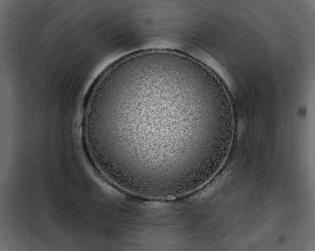 X0000102341124200808081124