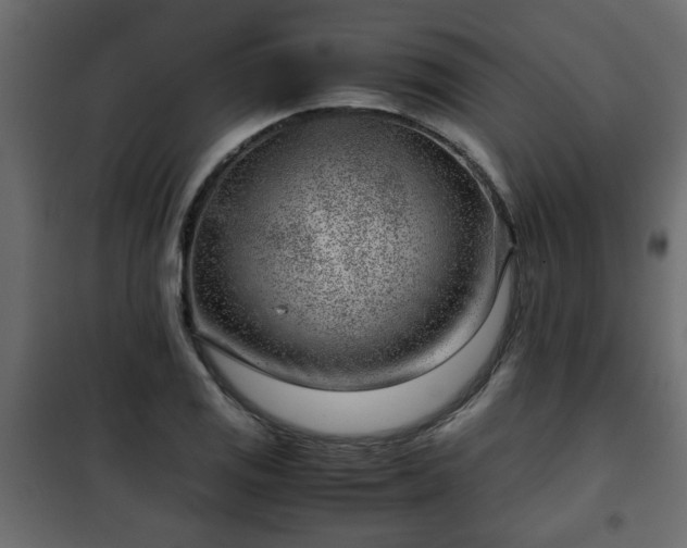 X0000102341125200808081124