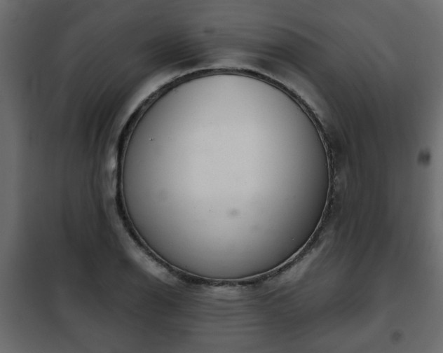 X0000102341126200808081124